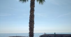 RIF. 259 B – BORGHETTO S.S. MONOLOCALE FRONTE MARE CONFINE LOANO € 120000
