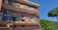 RIF. 267 B – BORGHETTO S.S. SPLENDIDO BILOCALE RISTRUTTURATO, CON BOX  € 165000