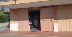 RIF. 267 B – BORGHETTO S.S. SPLENDIDO BILOCALE RISTRUTTURATO, CON BOX  € 165000