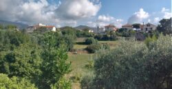 RIF. 270 B – BORGHETTO SANTO SPIRITO IN VILLA BILOCALE CON CANTINA E POSTO AUTO € 140000