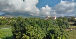 RIF. 270 B – BORGHETTO SANTO SPIRITO IN VILLA BILOCALE CON CANTINA E POSTO AUTO € 140000